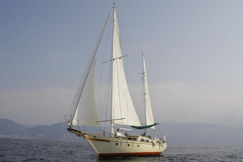 Observation des baleines : le meilleur de Puerto Vallarta — photo 5