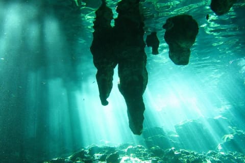 Tulum Ruins & Cenote guided private tour from Tulum and Riviera Maya. — photo 11
