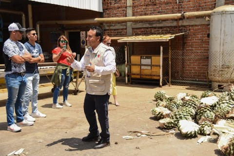 Experiencia Ruta del Tequila desde Guadalajara — photo 4