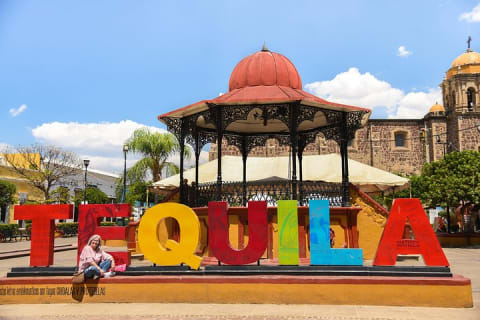 Experiencia Ruta del Tequila desde Guadalajara — photo 1