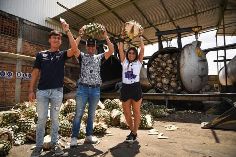 Experiencia Ruta del Tequila desde Guadalajara — photo 5