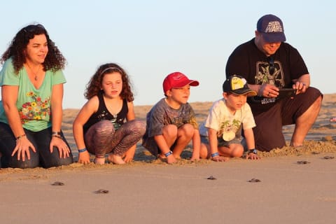 Liberación de tortugas en Cabo — photo 1