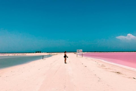 Tour Las Coloradas & Rio Lagartos only from Tulum — photo 2