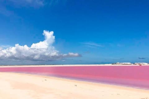 Tour Las Coloradas & Rio Lagartos only from Tulum — photo 3