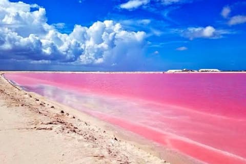Tour Las Coloradas & Rio Lagartos only from Tulum — photo 4