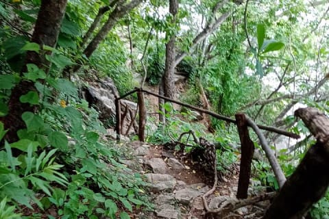 Trekking Colomitos - Madagascar — photo 9