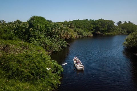 Shore Excursion Mazunte and Ventanilla Crocs & Turtles — photo 3