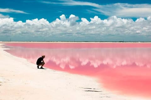 Las Coloradas & Rio Lagartos Beautiful Eco Adventure from Tulum — photo 11