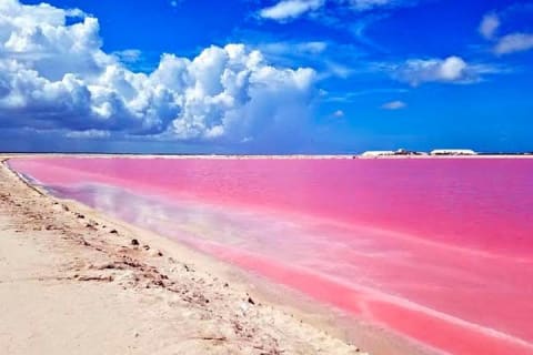 Las Coloradas & Rio Lagartos Beautiful Eco Adventure from Tulum — photo 10