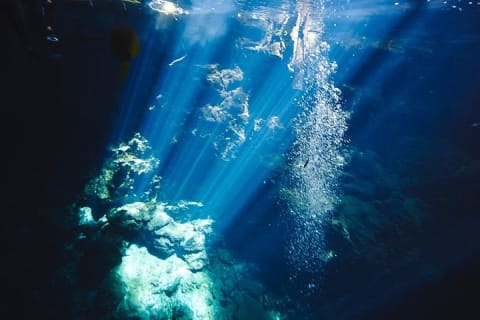 2 cenote divings (including one deep diving) for advanced divers in Tulum — photo 10