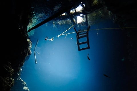 2 cenote divings (including one deep diving) for advanced divers in Tulum — photo 13