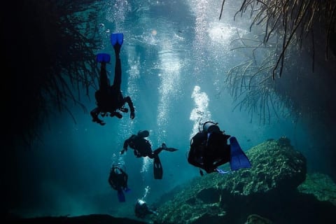 2 cenote divings (including one deep diving) for advanced divers in Tulum — photo 5