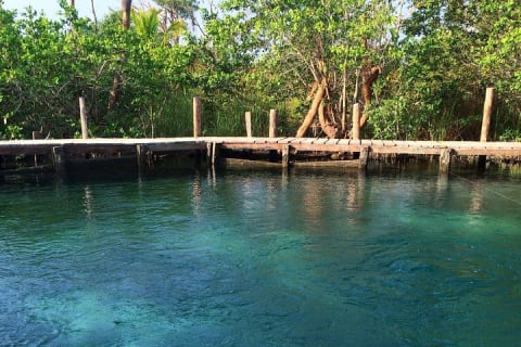 Discover Holbox the Most Colorful Island. Includes Cenote & Passion Island — photo 7