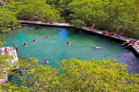 Discover Holbox the Most Colorful Island. Includes Cenote & Passion Island — photo 3