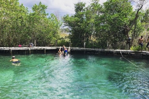 Discover the Wonders of Holbox, Cenote and Passion Island. Transport included — photo 3