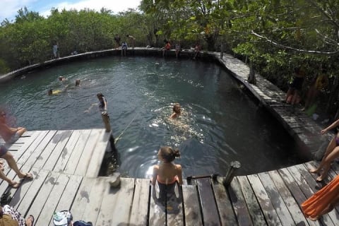 Discover the Wonders of Holbox, Cenote and Passion Island. Transport included — photo 6