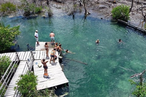 Discover the Wonders of Holbox, Cenote and Passion Island. Transport included — photo 4