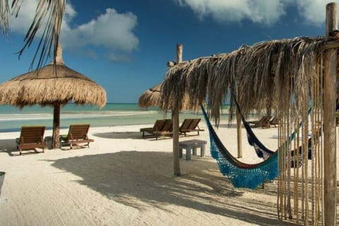 Discover Holbox the Most Colorful Island. Includes Cenote & Passion Island — photo 14