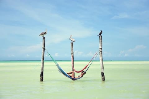 Discover the Wonders of Holbox, Cenote and Passion Island. Transport included — photo 7