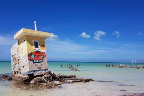 Discover Holbox the Most Colorful Island. Includes Cenote & Passion Island — photo 13