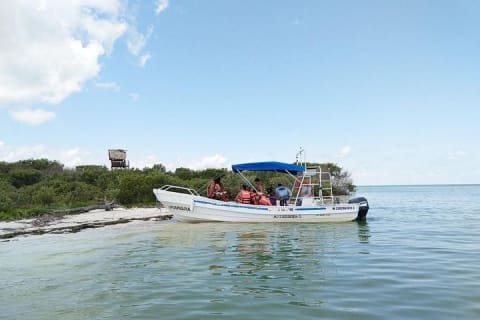 Discover the Wonders of Holbox, Cenote and Passion Island. Transport included — photo 14