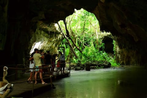 Tortugas & Cenotes Snorkel With Turtles Tour — photo 5