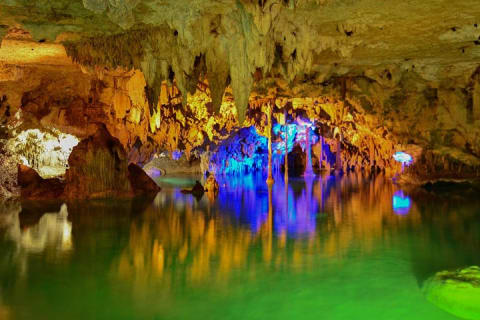 Tortugas & Cenotes Snorkel With Turtles Tour — photo 6