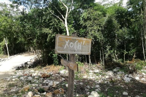 Excursion d'une journée d'aventure aux cenotes de Cuzamá — photo 13