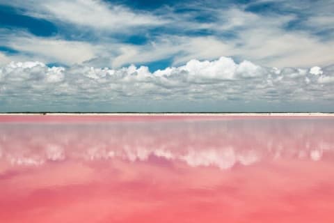 Tour to Las Coloradas Pink Waters and Boat Ride in Rio Lagartos with Lunch. — photo 2
