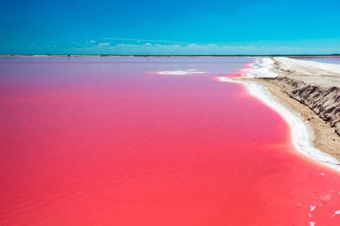 The Best Experience to Las Coloradas & Rio Lagartos from Tulum! — photo 10