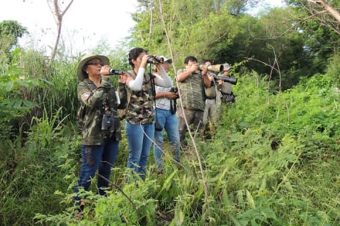 Bird Watching Tour near Merida-Half Day — photo 4
