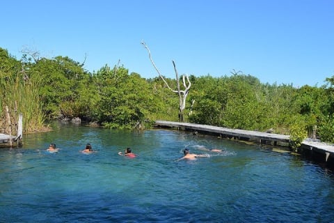 Discover the Wonders of Holbox, Cenote and Passion Island. Transport included — photo 2