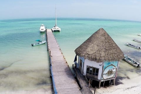 Discover the Wonders of Holbox, Cenote and Passion Island. Transport included — photo 10