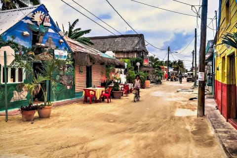 Discover the Wonders of Holbox, Cenote and Passion Island. Transport included — photo 9