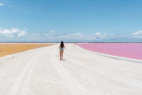 Discover the FABULOUS PINK WATERS at the Caribean (Las Coloradas+Río Lagartos) — photo 1