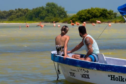 Full-Day Tour to Las Coloradas Pink Paradise in Yucatan and Rio Lagartos. — photo 9