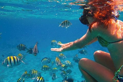 Snorkel in El Cielo Cozumel Reef with Lunch, Beach and Transport — photo 5