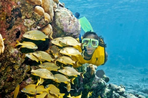 Amazing snorkeling full-day tour to Cozumel Cielo Starfish Reef — photo 3