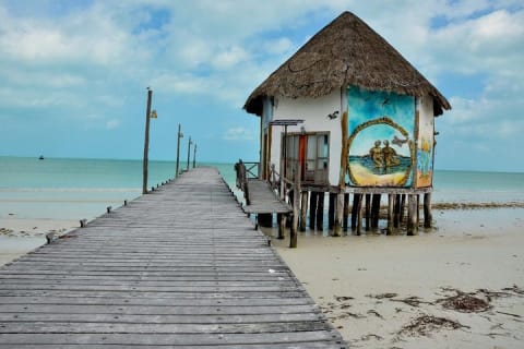 Discover the Wonders of Holbox, Cenote and Passion Island. Transport included — photo 11