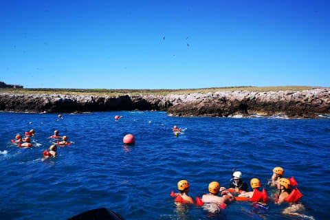 Marietas Islands Snorkel Tour & Hidden Beach — photo 4