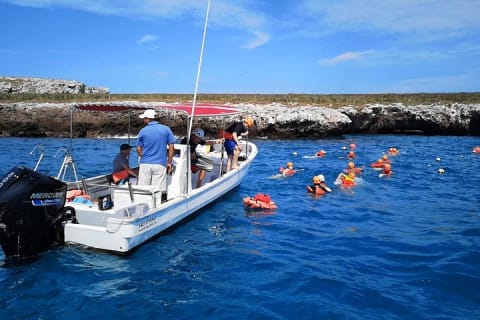 Marietas Islands Snorkel Tour & Hidden Beach — photo 7