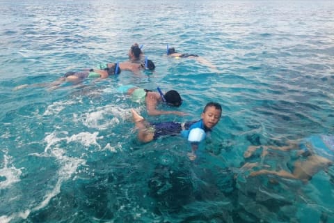 Amazing Snorkel at Cozumel Reef! Round Transportation from Tulum — photo 3