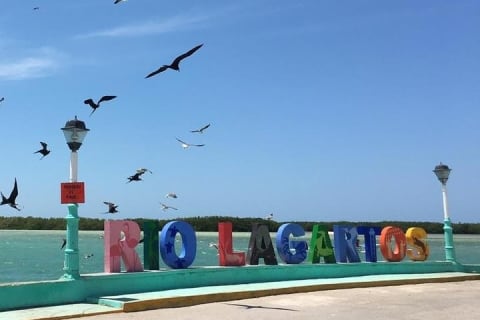 Discover the FABULOUS PINK WATERS at the Caribean (Las Coloradas+Río Lagartos) — photo 8