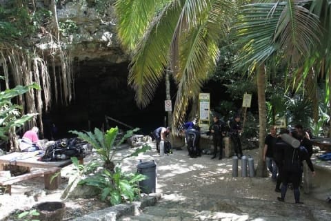Go for 2 dives in cenote Dos ojos for certified divers — photo 3