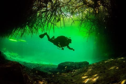 2 tanks Cenote Diving Adventure in Tulum for Certified Divers — photo 5