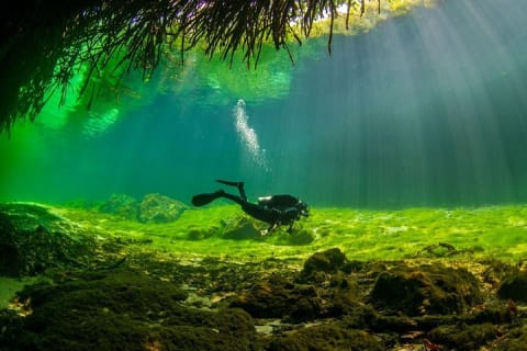 2 tanks Cenote Diving Adventure in Tulum for Certified Divers — photo 3