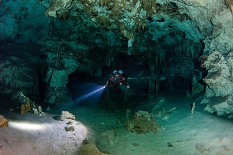Go for 2 dives in cenote Dos ojos for certified divers — photo 6