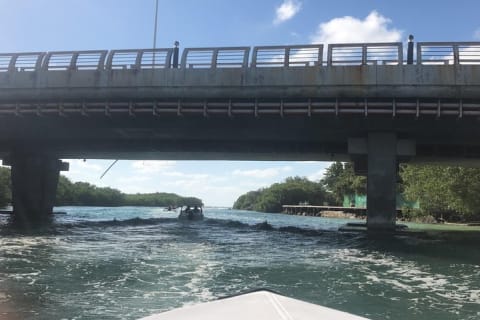 Speedboat adventure through the Nichupte Lagoon. Snorkel included. — photo 5