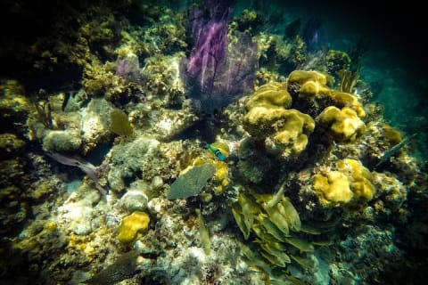 Breathtaking experience driving a speedboat in Cancun with Snorkeling included — photo 6