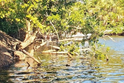 Croc´s & Turtle Aquarium — photo 3